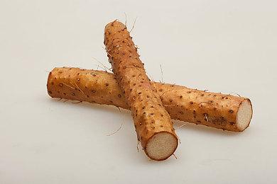 海量独立佳作来袭！ Steam十月新品节正式开启